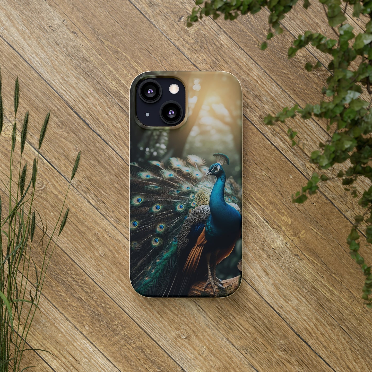 Peacock #3 | Biodegradable Cases